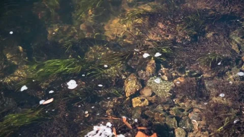 Clear river water slow motion Coosawattee River Ellijay Georgia 4k Vídeos de archivo 260742960