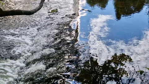 Clear river water stream in autumn, Inverness, Scotland Stock Footage 293712414