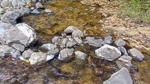 Clear river water style past the rocks 29 Stock Footage 208086409