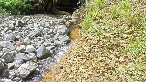 Clear river water style past the rocks 51 Stock Footage 208180053