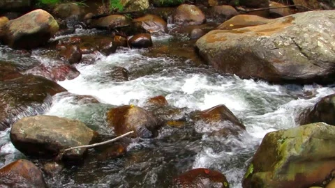 Clear river waters flow from the mountains to form small waterfalls between.. Stock Footage 280321724