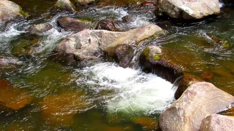 Clear river waters flow from the mountains to form small waterfalls between.. Stock Footage 280321728