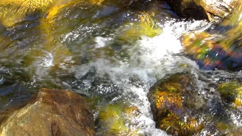 Clear river waters flow from the mountains to form small waterfalls between.. Stock Footage 280321736