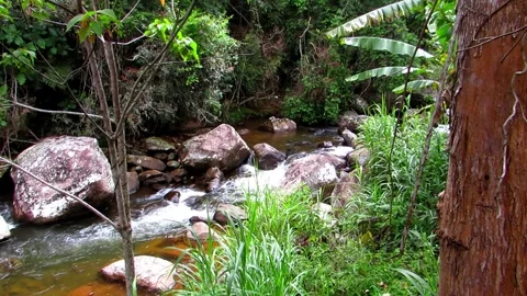 Clear river waters flow from the mountains to form small waterfalls between.. Stock Footage 280321741
