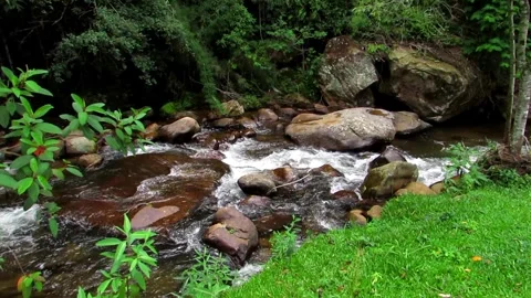 Clear river waters flow from the mountains to form small waterfalls between.. Stock Footage 280321757