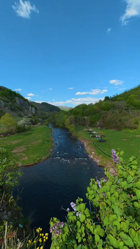 Clear river winds through verdant valley. Temska River, Serbia. Vertical Video stock 333700944