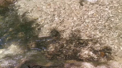 A clear river. A young man crosses a cold mountain river fording Video stock 161747533
