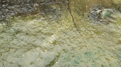 Clear rivers, in the quiet and not be slow flow Stock Footage 42860944