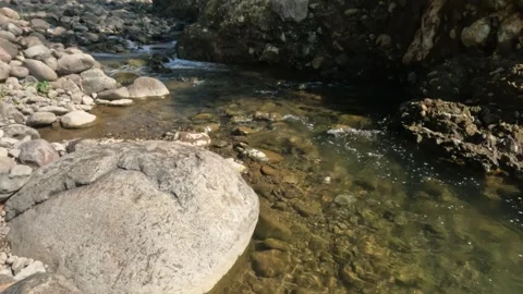 A clear rocky mountain stream flows gently in summer Stock Footage 321846372