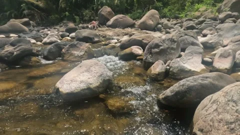 A clear rocky mountain stream flows gently in summer Stock Footage 321846374