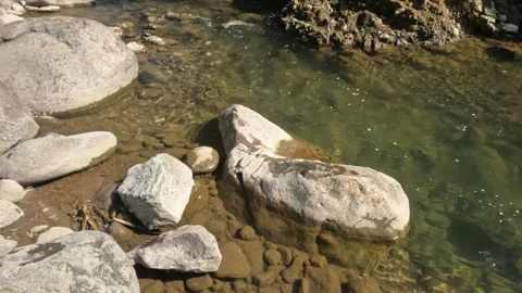 A clear rocky mountain stream flows gently in summer Stock Footage 321846376