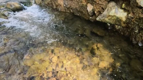 A clear rocky mountain stream flows gently in summer Stock Footage 321846430