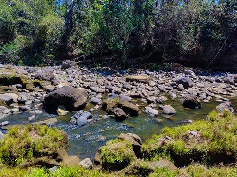 Clear rocky river flowing through tropical forest in Bali. Stock Photos