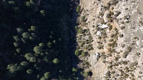 Clear rocky stream Stock-Fotos