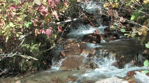 Clear running Stream  Stock Footage 264000