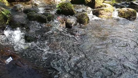 Clear running water Stock Footage 236598867