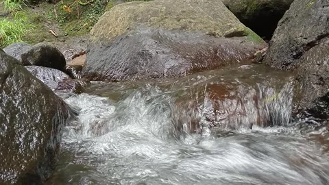 Clear Running Water Over Rocks in Natural Forest Stream Scene Stock Footage 330530112