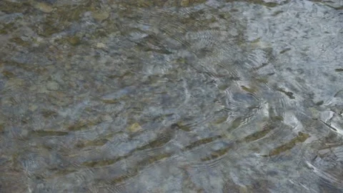 Clear running water in the river, through which you can see the rocky bottom. Stock Footage 181590641