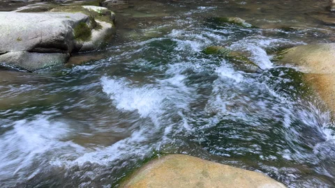 A clear rushing stream passing through boulders between rocky shores. Wild Stock Footage 286846844