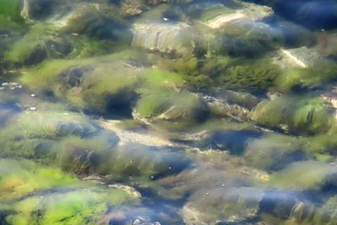 Clear Sea Background with Rocks 스톡 사진