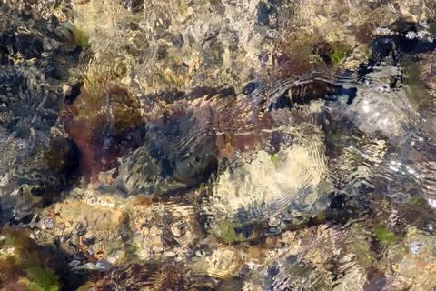 Clear Sea Background with Rocks Stock-Fotos