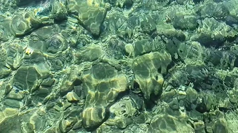 Clear sea bottom Stock Footage 229863179