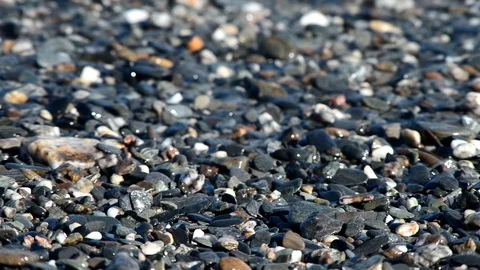 The clear sea breaks on the pebble beach on a beautiful sunny day Stock Footage 88041414