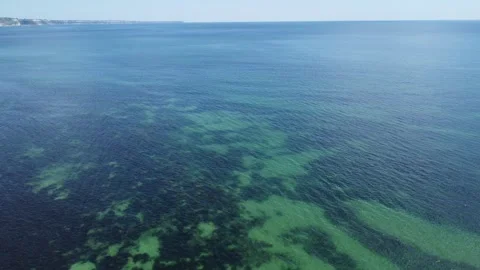 Clear Sea Video stock 251681888