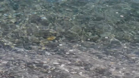 Clear sea water Stock Footage 143453483