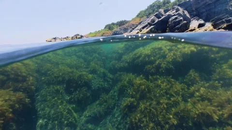 Clear Sea Water Split View at Silistar Beach in Bulgaria Stock Footage 340617556