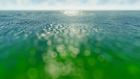 Clear sea water under the sun Video stock 288181024