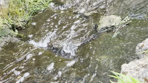 Clear shallow creek running over stones timelapse Stockbeeldmateriaal 335541945