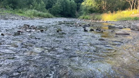 Clear shallow mountain stream flowing over stones with natural audio sound 4K Stock-Footage 341851317