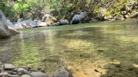 Clear shallow river with pebbles and reflections, forest stream Stock Footage 333977444