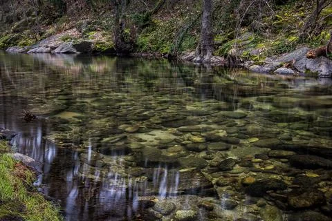 Clear shallow river Stock Photos