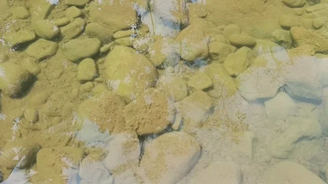 Clear shallow river pool with small fish swimming over stones 库存影片 344915055
