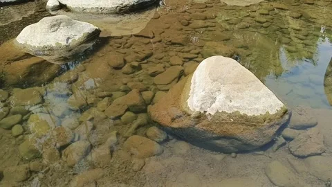 Clear shallow river pool with small fish swimming over riverbed stones durin Vídeos de archivo 344915078