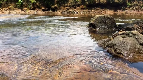 Clear Shallow River Stream Flowing Over Pebbles and Rocks Stock Footage 344159896