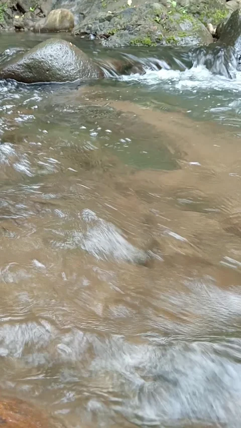 Clear Shallow River Water Flowing Over Rocks in Natural Forest Stream Stock Footage 329818568