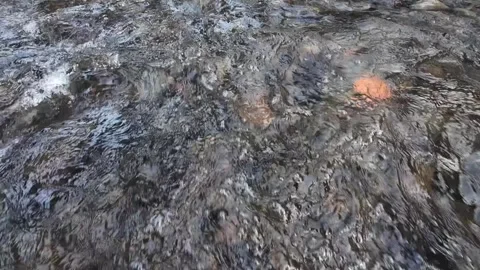 Clear Shallow River Water Flowing Over Pebbles and Leaves 4K Stock Footage 337060799