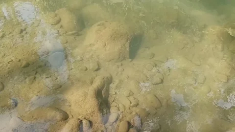 Clear shallow river water ripples over rocky sandy riverbed Stock Footage 342962281