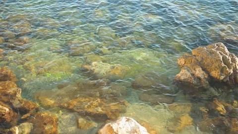 Clear Shallow Seawater Flowing Over Rocky Seabed Stock Footage 346316972