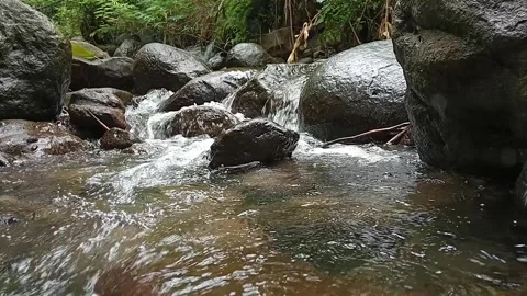 Clear Shallow Stream Flow Over Stones Natural Outdoor Scene Stock Footage 330582870