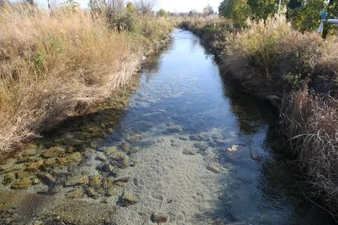Clear shallow stream flowing between dry grasses and shrubs Stockfoto's