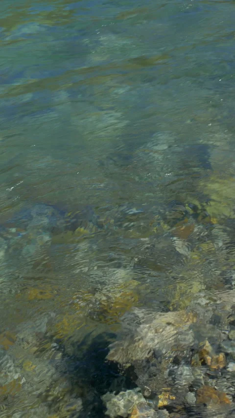 Clear Shallow Stream Over Pebbles Close Up Vertical Video Stock-Footage 346000403