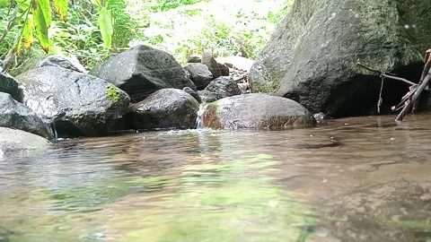 Clear Shallow Stream Over Smooth Rocks in Tropical Forest Stock Footage 330582007