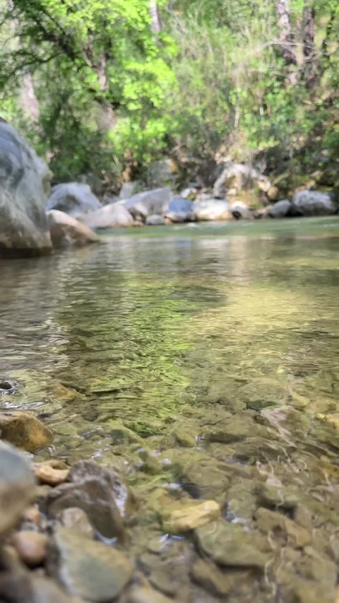 Clear shallow stream with pebbles and reflections, forest water surface Stock Footage 333924927