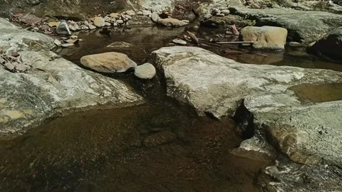 Clear shallow stream with smooth brown rocks and gentle current Video stock 344429687