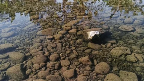 Clear shallow stream water flowing softly over smooth river stones Stock Footage 345569623