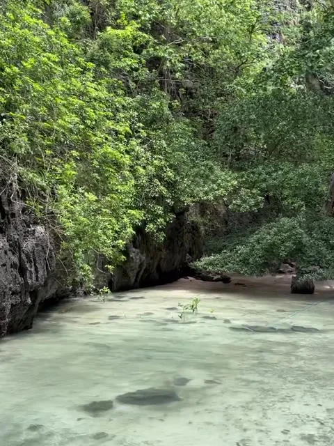 Clear Shallow Tropical Stream and Lush Green Cliffs Vídeos de archivo 340870592